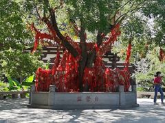 -西安华清御汤酒店