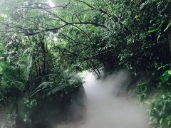 -呀诺达热带雨林