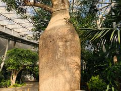-北京植物园-展览温室