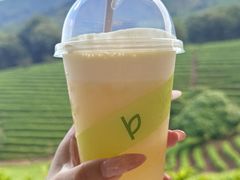 -白茶原·一片叶子