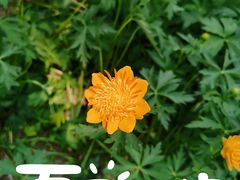 -香山公园
