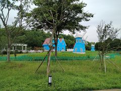 -宜兴龙背山森林公园