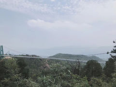 -玉苍山国家森林公园