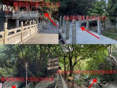 -阳台山森林公园