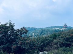 -泰山风景名胜区