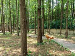 -南京金牛湖风景区