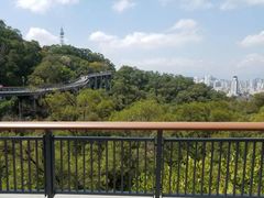-金鸡山公园