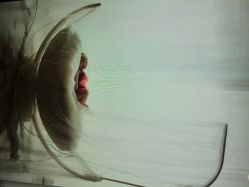 点击看大图 韩国WPlus儿童摄影工作室-WPlus明星肖像亲子全家福摄影