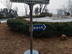 -星光岛
