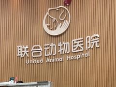-联合动物医院(光谷诊疗中心)