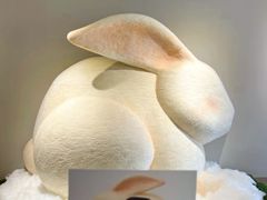 -辰熙ACX星海艺术中心