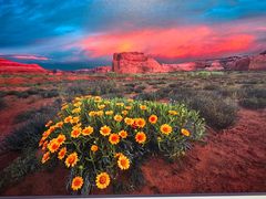 -罗红摄影艺术馆