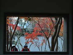-秋霞圃