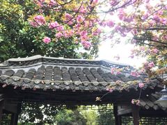 -梅园