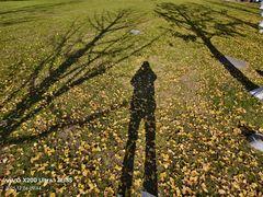 -浙江大学(紫金港校区)