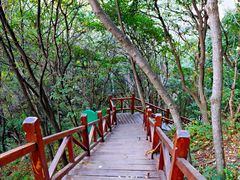 -大岭沟猕猴桃谷风景区