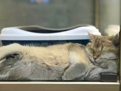 -乐宠宠物店(世纪金源店)