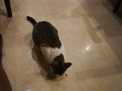 -西双版纳洲际度假酒店-海鲜傣味烧烤·侬香全日制餐厅