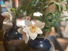 -汤城小厨(金融街店)