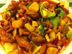 -新疆巴州金丝特餐厅(大钟寺店)