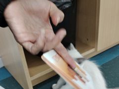 -东日国际动物医院·CT·心脏专科(桃源分院)