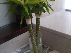 IMAG0370-上海龙之梦万丽酒店