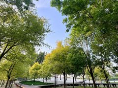 -东郊湿地公园