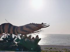 -神龙仙岛景区