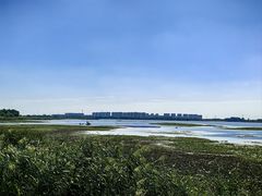 -盐城丹顶鹤湿地生态旅游区