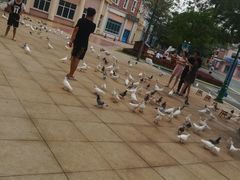 -沈阳方特欢乐世界