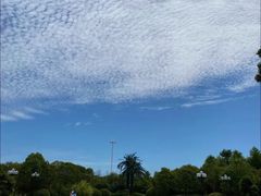 -碧海银沙景区