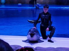 -华夏文旅西安度假区