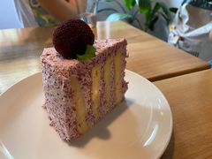 -竹子咖啡bamboo coffee