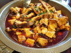-一撮毛美食城(全力一路店)