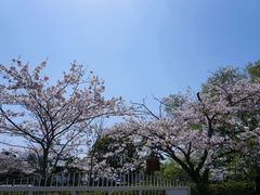 -鹤冈八幡宫