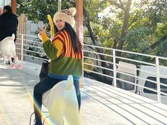 -盈香心动乐园