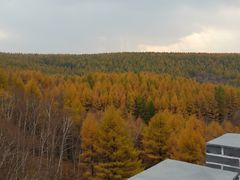 -塞罕坝国家级自然保护区