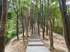 -火炉山森林公园