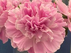 -Moka Bros 摩卡站(西单大悦城店)