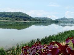 -水濂山水库景点停车场
