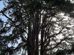 -终南山南五台景区