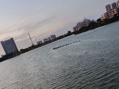 -金银湖国家城市湿地公园