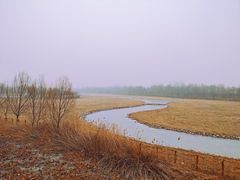 -北京麋鹿生态实验中心