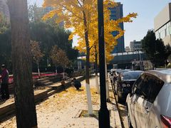 -北京信息科技大学(小营校区)