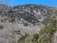 -北京西山国家森林公园