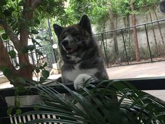 -TrueLove @ Neverland (Husky Cafe)