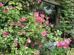 -春暖花开(西溪店)