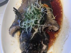 清蒸石斑鱼-鱼乐轩·俄罗斯海鲜直供餐厅(群力店)