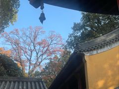 -灵谷景区