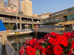 -The Crab Pot Seattle